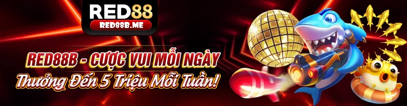 Đấu trường đá gà trực tuyến tại Ku Casino Info