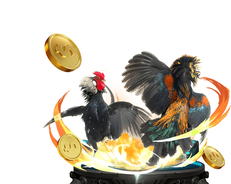 Ưu đãi VIP KU Casino